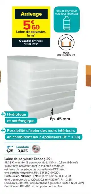 Castorama Laine de polyester ecopeg 39+ offre