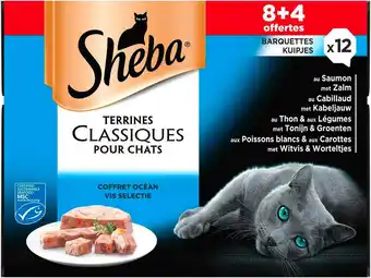 Match Sheba barquettes pour chat offre