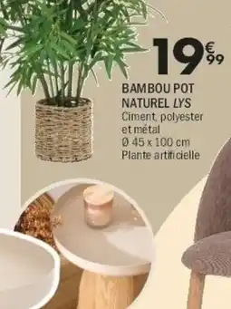 La Foir'Fouille BAMBOU POT NATUREL LYS offre