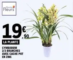E.Leclerc Quartier Fleurs Cymbidium offre