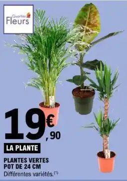 E.Leclerc Quartier Fleurs LA PLANTE offre