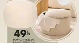 La Foir'Fouille Plante suspendue /sao offre