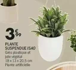 La Foir'Fouille Isao plante suspendue offre