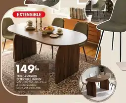 La Foir'Fouille JAPANDI TABLE À MANGER EXTENSIBLE offre