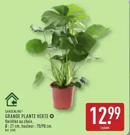 ALDI GARDENLINE GRANDE PLANTE VERTE offre
