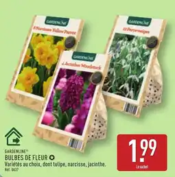 ALDI GARDENLINE BULBES DE FLEUR offre
