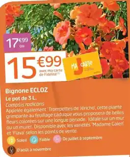 Jardiland Bignone ECLOZ offre