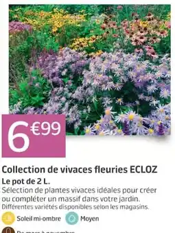 Jardiland ECLOZ Collection de vivaces fleuries offre