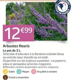 Jardiland Arbustes fleuris offre