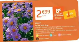 Jardiland Aster offre