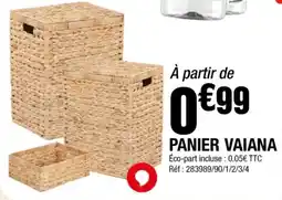La Foir'Fouille PANIER VAIANA offre