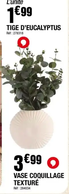 TIGE D'EUCALYPTUS