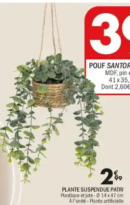 La Foir'Fouille PLANTE SUSPENDUE PATRI offre