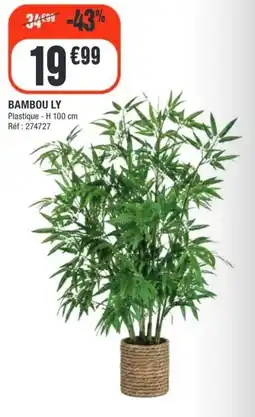 La Foir'Fouille BAMBOU LY offre