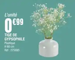 La Foir'Fouille TIGE DE GYPSOPHILE offre
