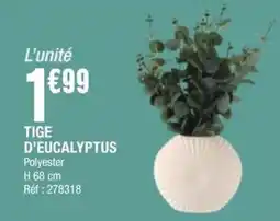 La Foir'Fouille TIGE D'EUCALYPTUS offre