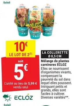 Gamm vert ECLOZ LA COLLERETTE offre