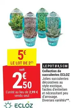 Gamm vert ECLOZ succulentes offre