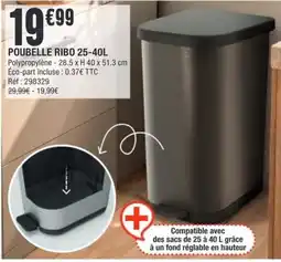 La Foir'Fouille POUBELLE RIBO offre