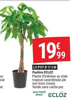 Gamm vert ECLOZ Pachira offre