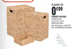 La Foir'Fouille PANIER VAIANA offre