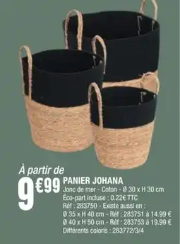 La Foir'Fouille PANIER JOHANA offre