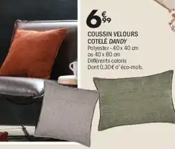 La Foir'Fouille COUSSIN VELOURS COTELÉ DANDY offre
