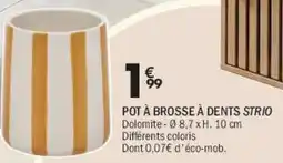 La Foir'Fouille STRIO POT À BROSSE À DENTS offre