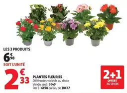 Auchan PLANTES FLEURIES offre
