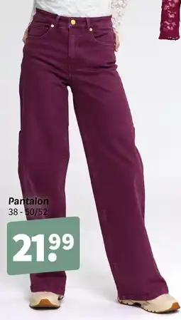 Wibra Pantalon offre