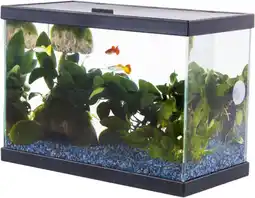 Jardiland Aquarium fresh 35 start offre