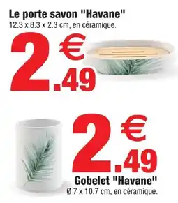 Bazarland Havane porte savon offre