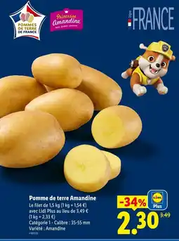 Lidl Pomme de terre amandine offre