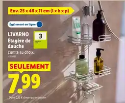 Lidl Livarno étagère de douche offre