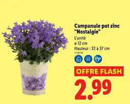 Lidl Campanule pot zinc nostalgie offre