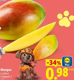 Lidl Mangue offre