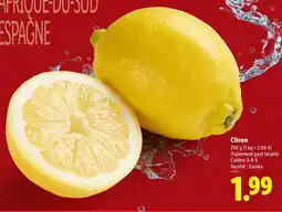 Lidl Citron offre