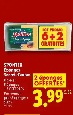Lidl Spontex éponges secret d'antan offre