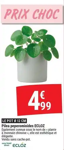 Gamm vert Ecloz - le pot 0 12 cm offre