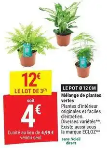 Gamm vert Ecloz - mélange de plantes vertes offre