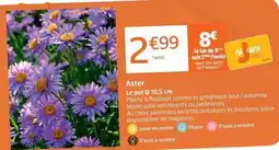 Jardiland Aster offre