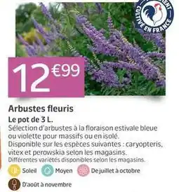 Jardiland Arbustes fleuris offre