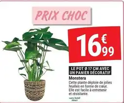 Gamm vert Facile - monstera offre