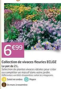 Jardiland Ecloz - collection de vivaces fleuries offre