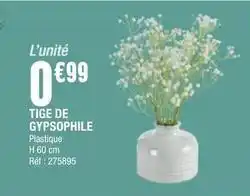 La Foir'Fouille Tige de gypspophile offre
