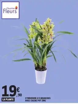 E.Leclerc Quartier Fleurs Cymbidium offre