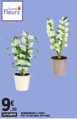 E.Leclerc Quartier Fleurs DENDROBIUM 2 TIGES offre