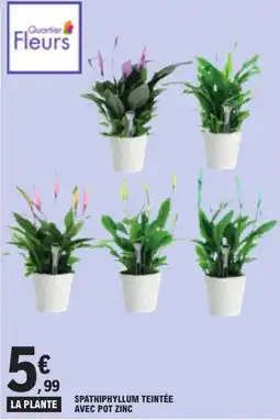 E.Leclerc Quartier Fleurs Spathiphyllum teintée offre