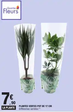 E.Leclerc LA PLANTE offre