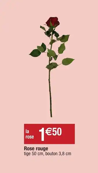Migros Rose rouge offre
